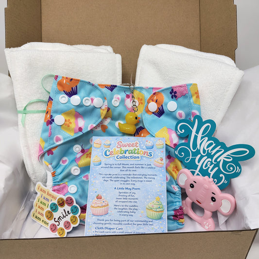 cloth diaper subscription box with new print diaper every month. Includes extras for mom and baby. first box comes with extra diaper inserts.