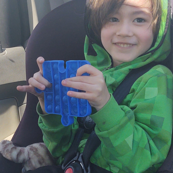 Pop it Fidget Toy in the car